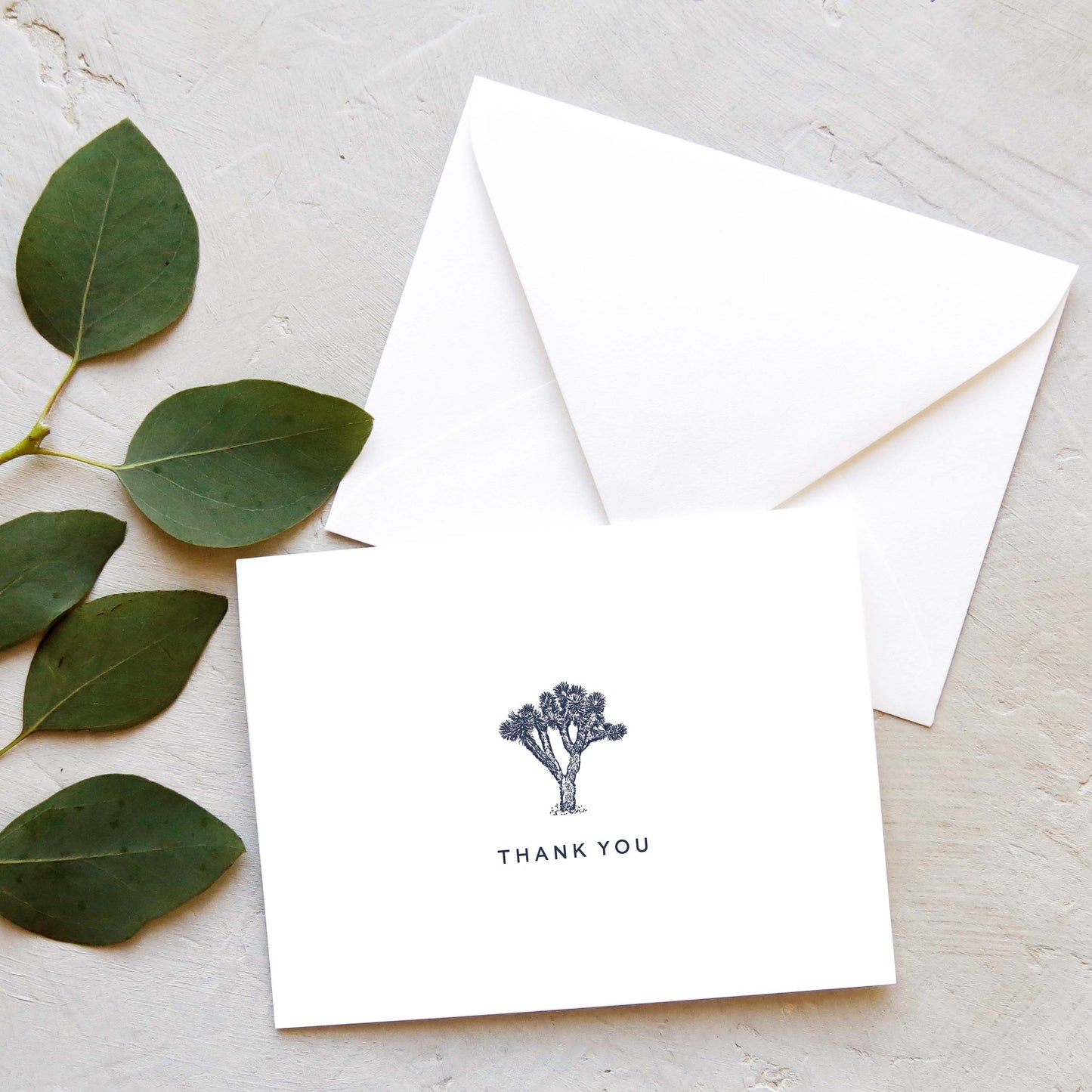 Joshua Tree Thank You Card (Set of 10)